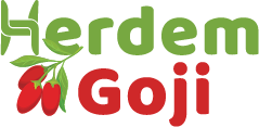 Herdemgoji
